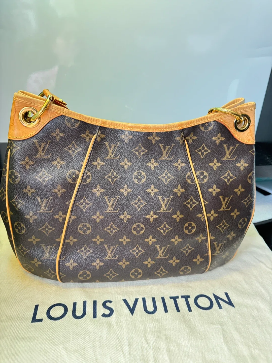 Louis Vuitton Monogram  Galleria pm   PM image indicator(2)