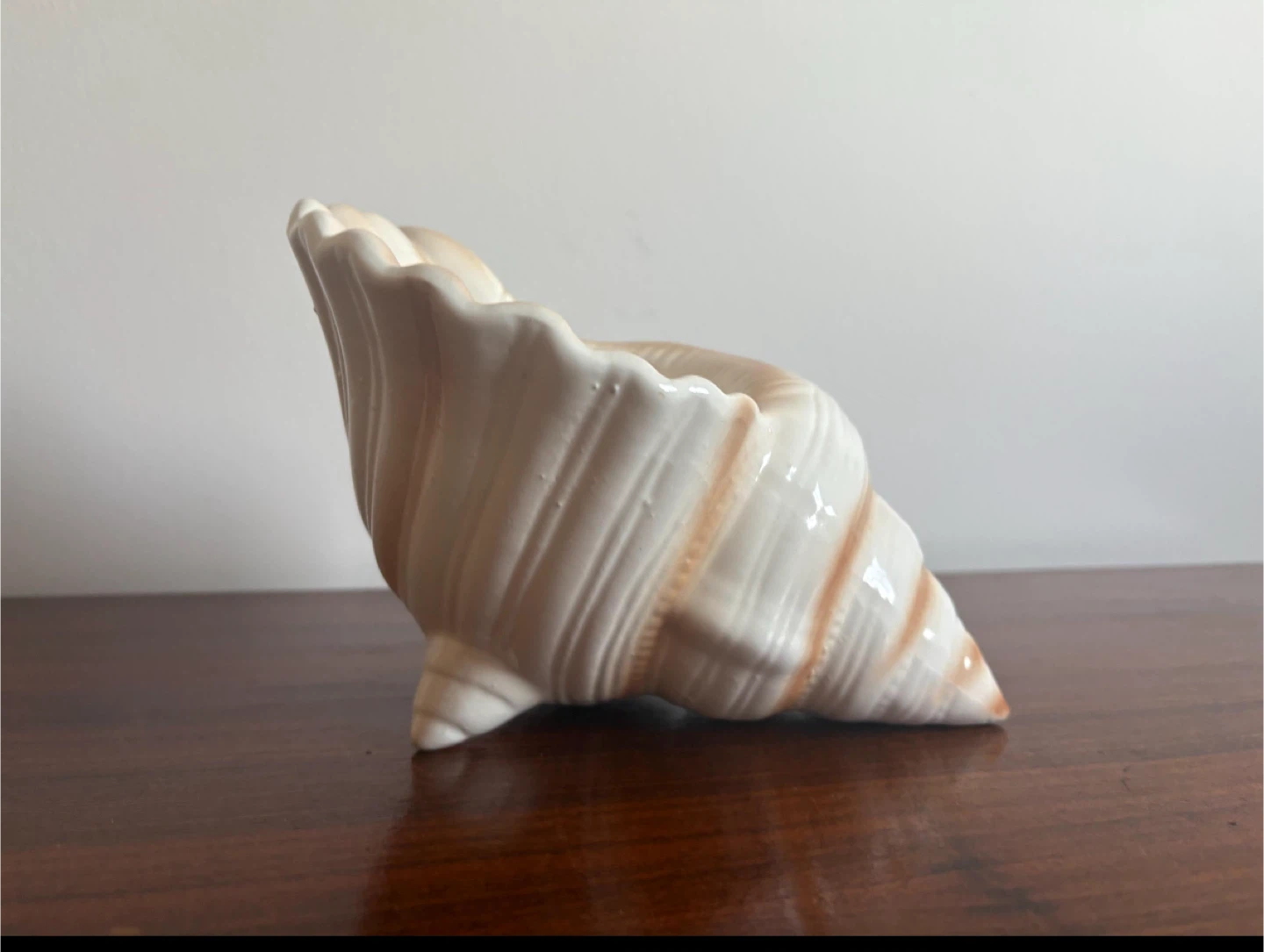 Seashell Shaped Planter