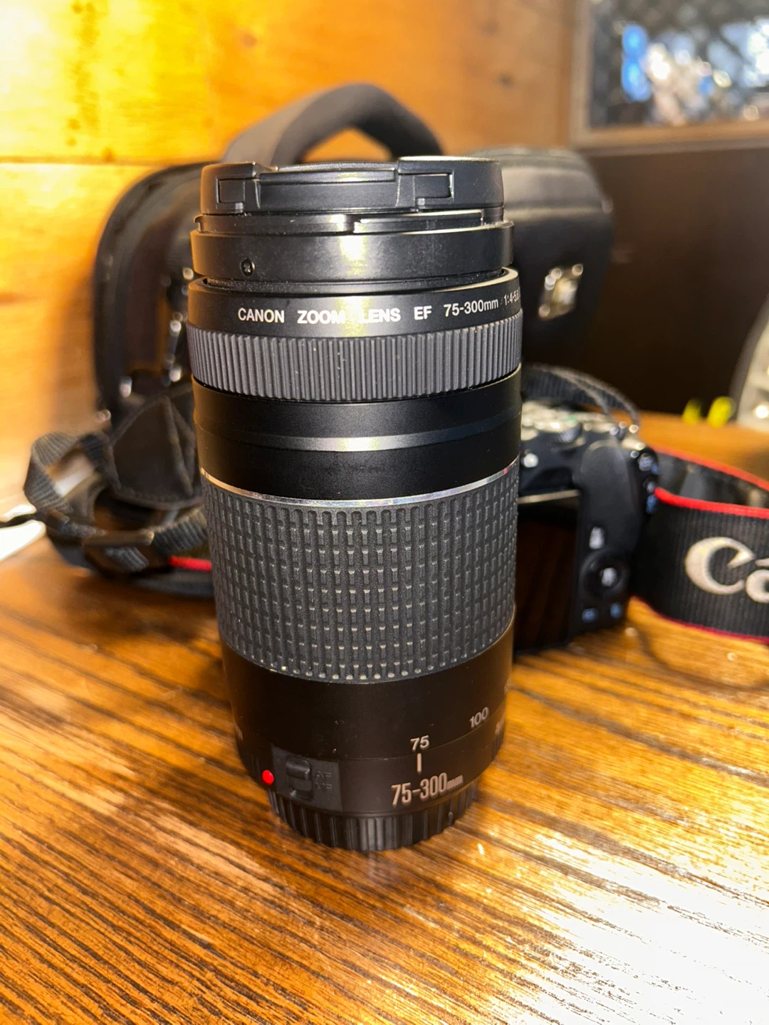 Canon EOS Rebel SL2 Camera with 2 Lenses - photo 4