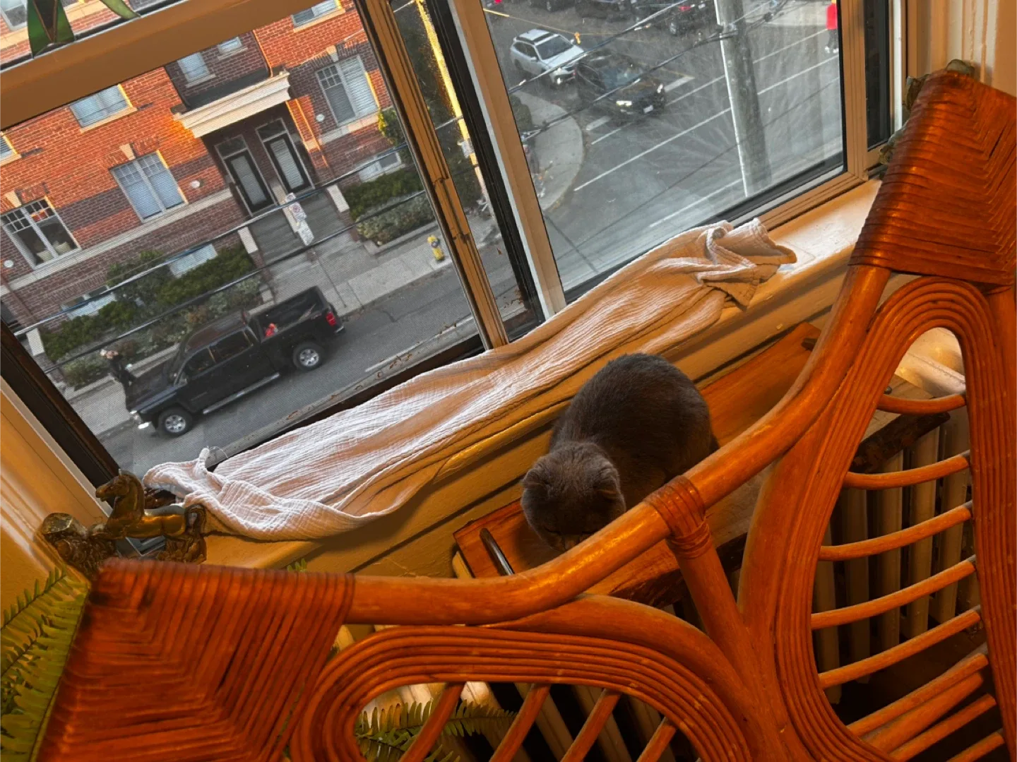 Super rare bamboo loveseat image indicator(10)