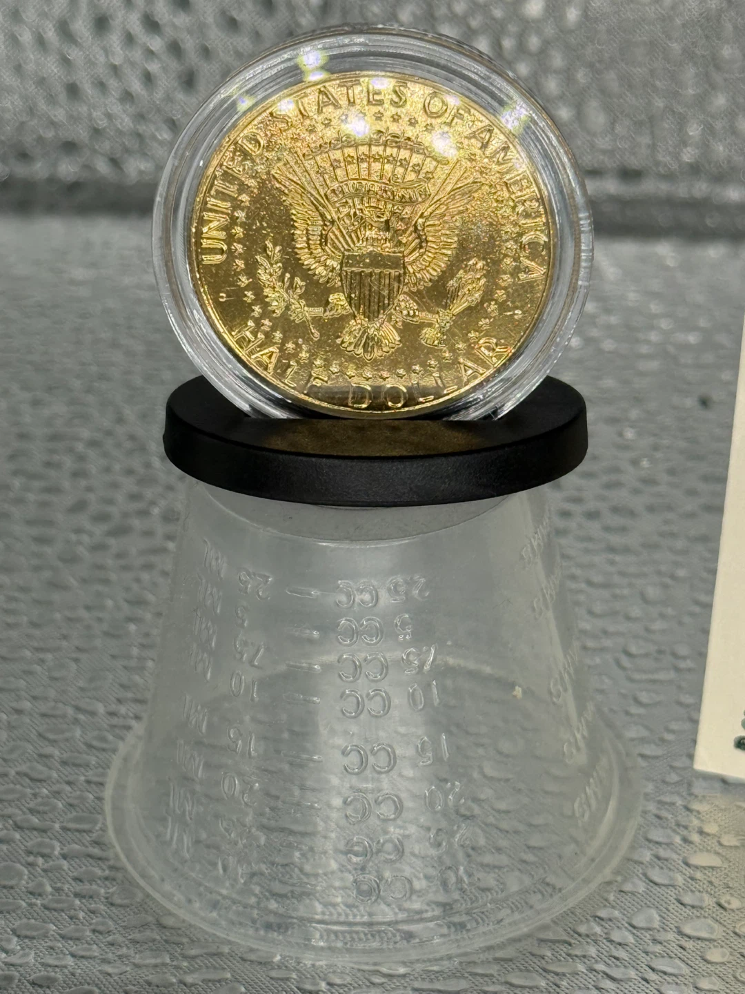 Wizard of Oz 50th Anniversary Gold Coin - photo 4