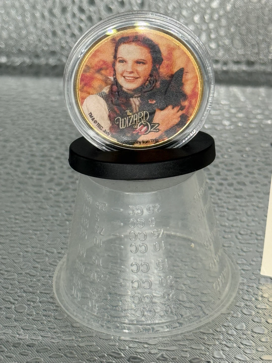 Wizard of Oz 50th Anniversary Gold Coin - photo 3