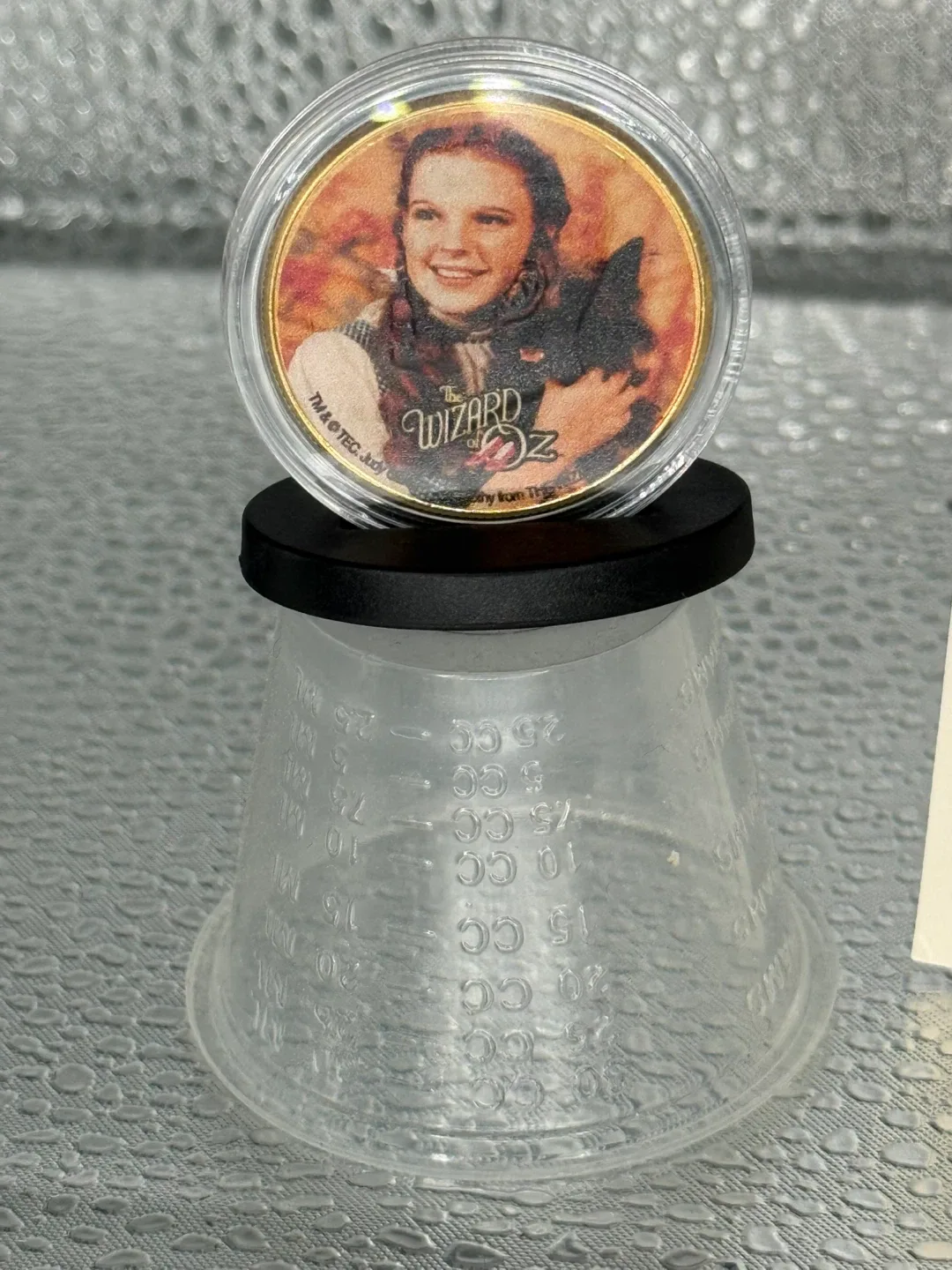 Wizard of Oz 50th Anniversary Gold Coin image indicator(3)
