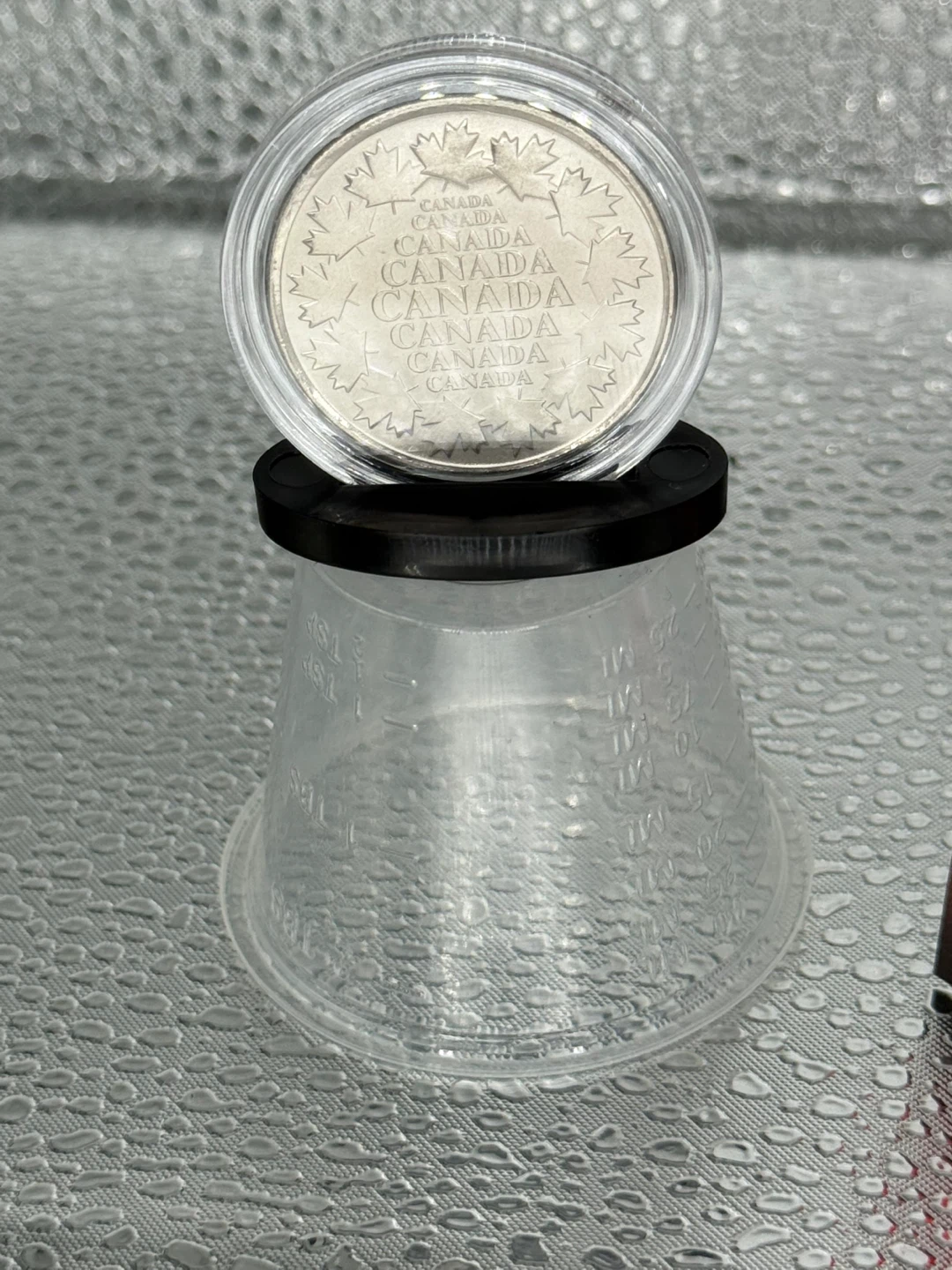 Princess Diana Royal Canadian silver Mint Medallion - photo 4