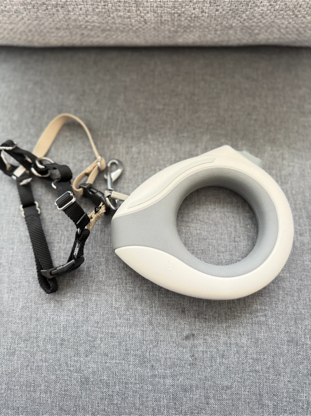 Easy Walk Dog Harness & Retractable Leash