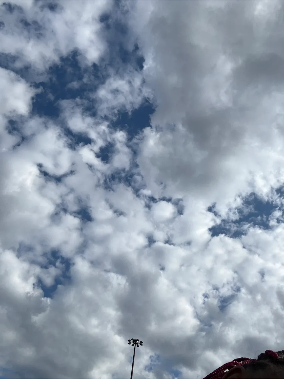 Offer free house cleaning thumbnail