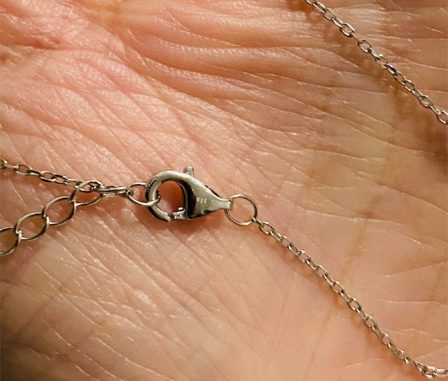 New (Unused) Olivia and Jackson Argent CZ Butterfly Necklace image indicator(7)