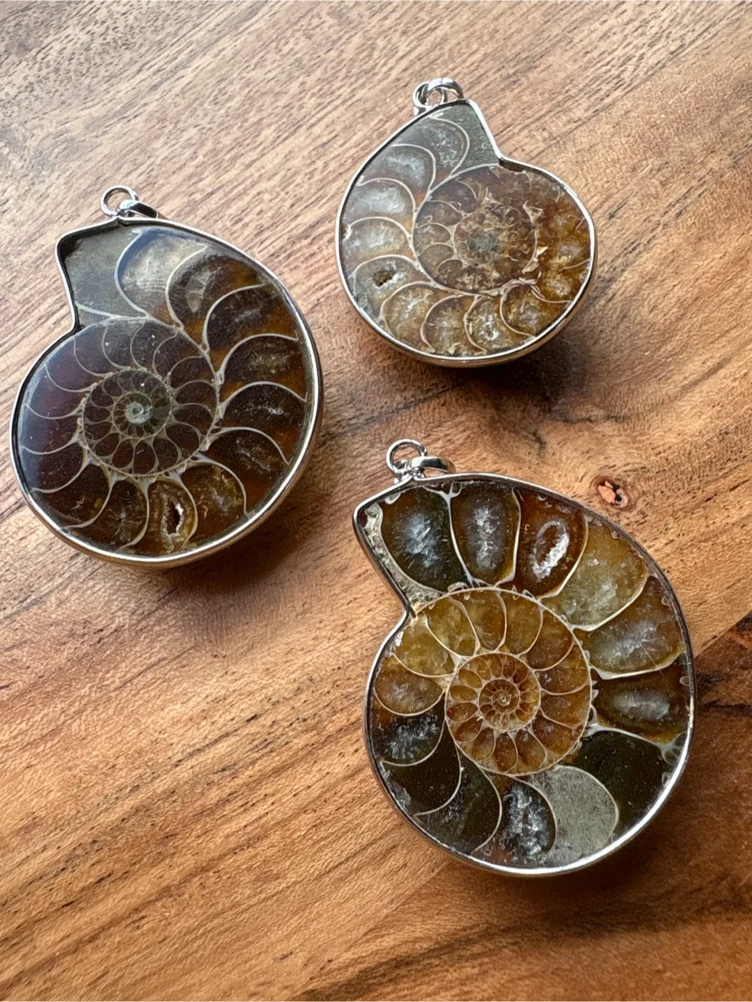 Ammonite Fossil Pendants image indicator(2)