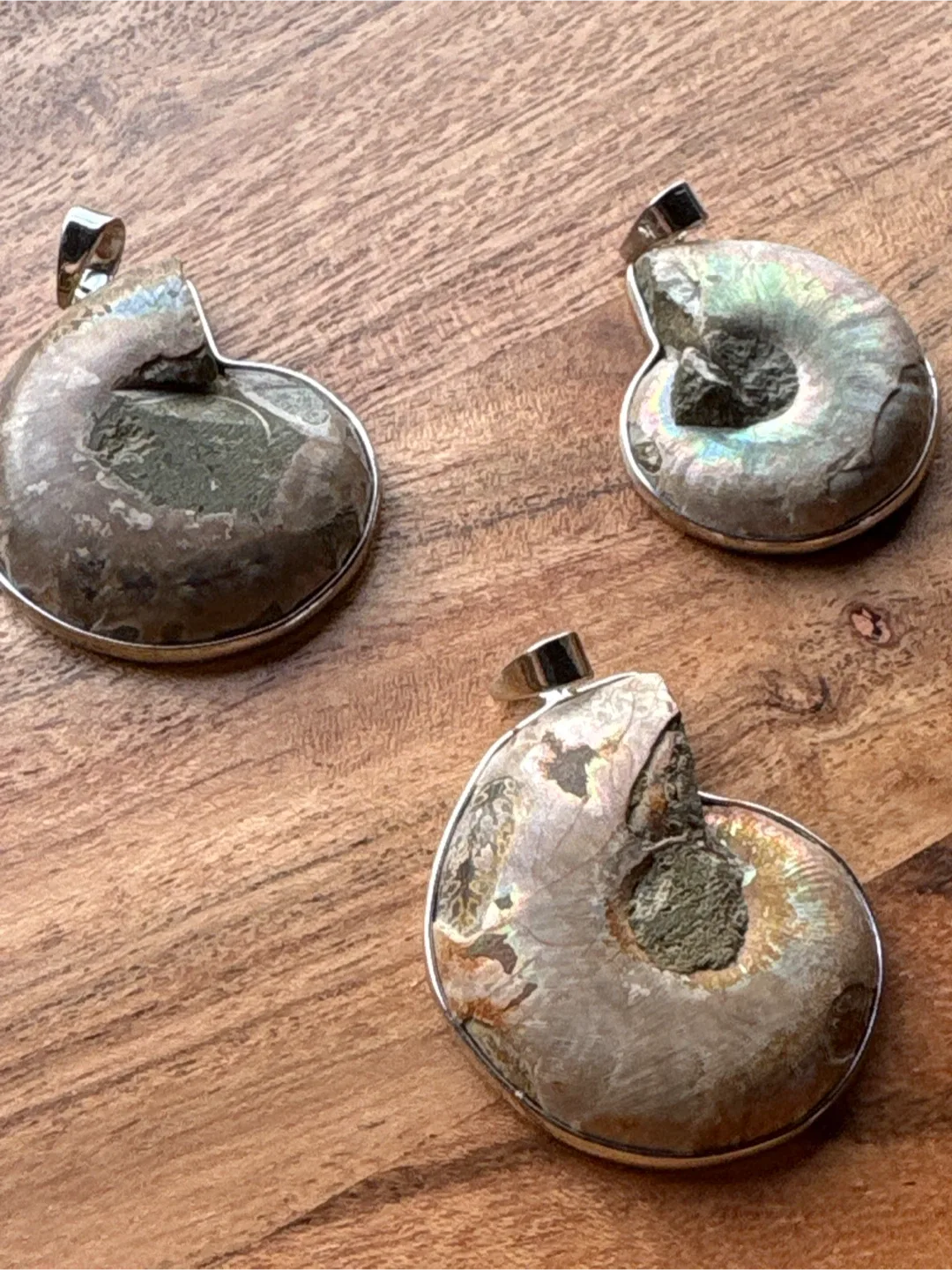Ammonite Fossil Pendants image indicator(3)