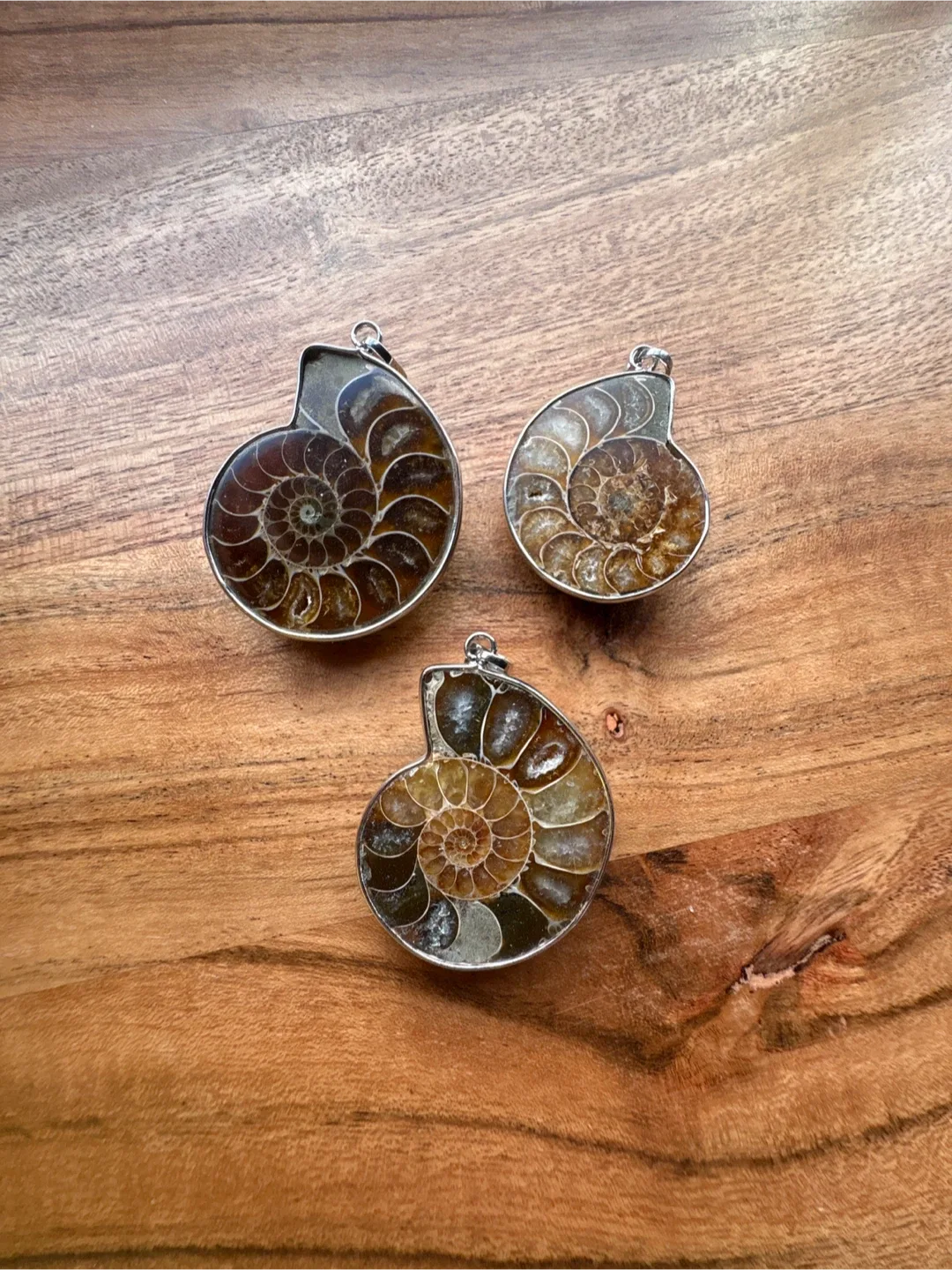Ammonite Fossil Pendants thumbnail