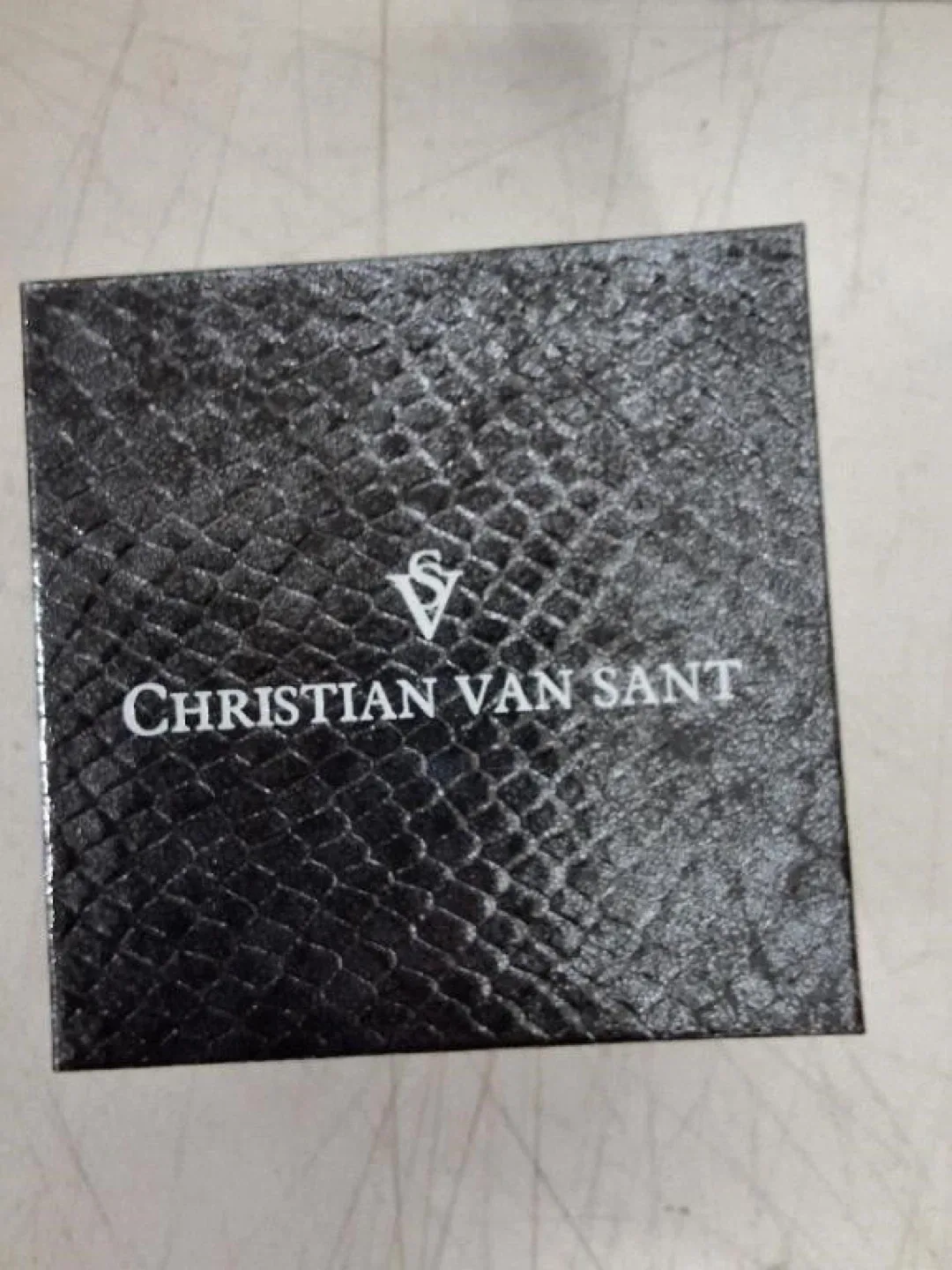 Christian Van Sant Women's Watch with Butterfly Design image indicator(2)