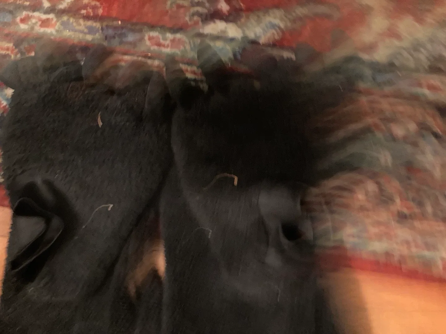 Bear Costume - child Size image indicator(2)