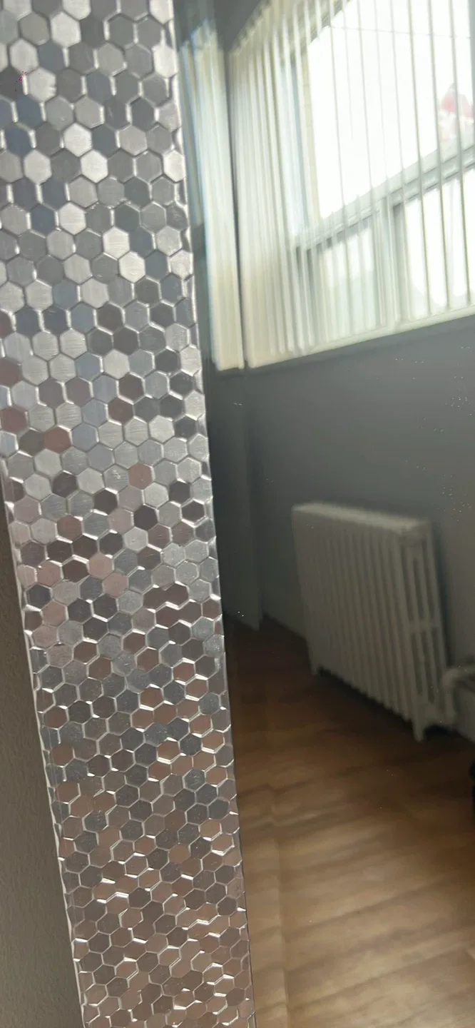 Full Length Mirror with Silver Mosaic Frame image indicator(3)