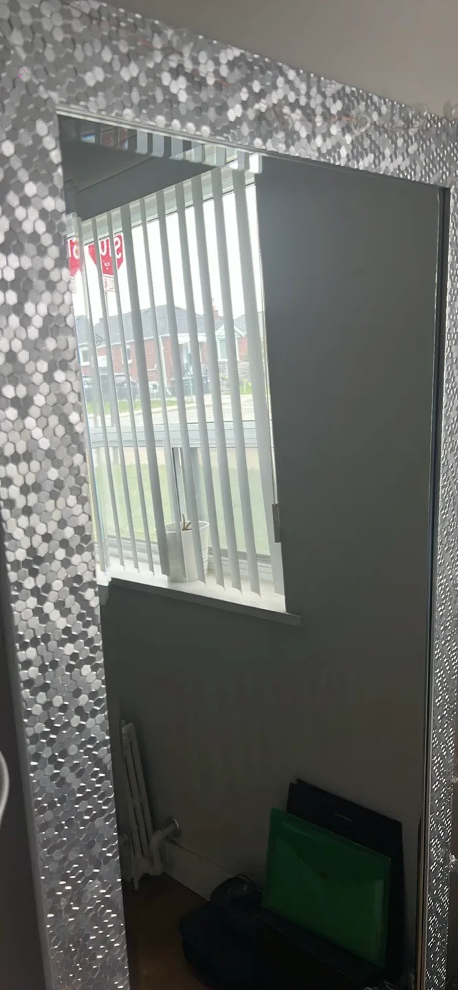 Full Length Mirror with Silver Mosaic Frame image indicator(2)