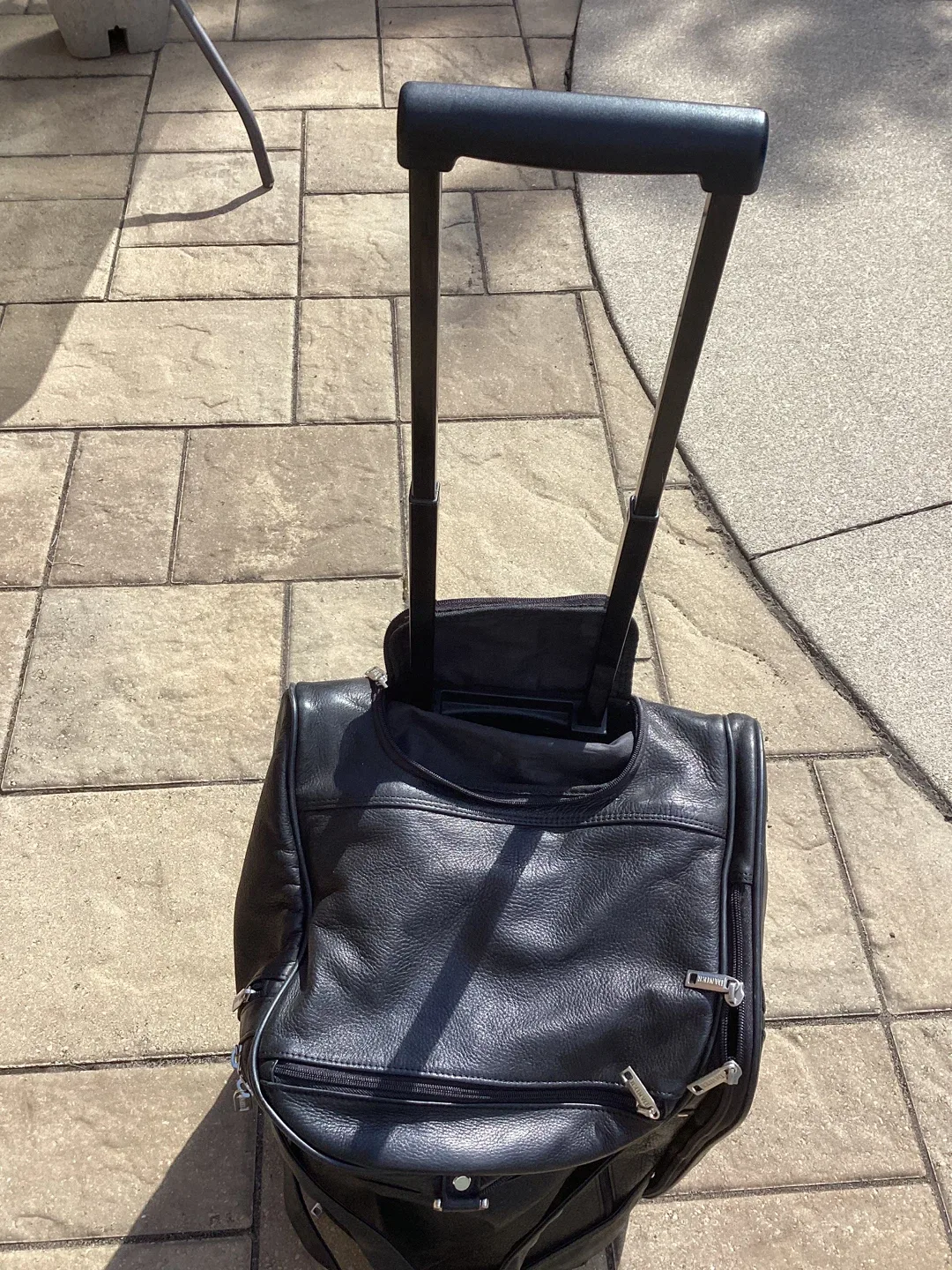 GREAT DANIER LEATHER PULL ALONG DUFFEL BAG image indicator(4)