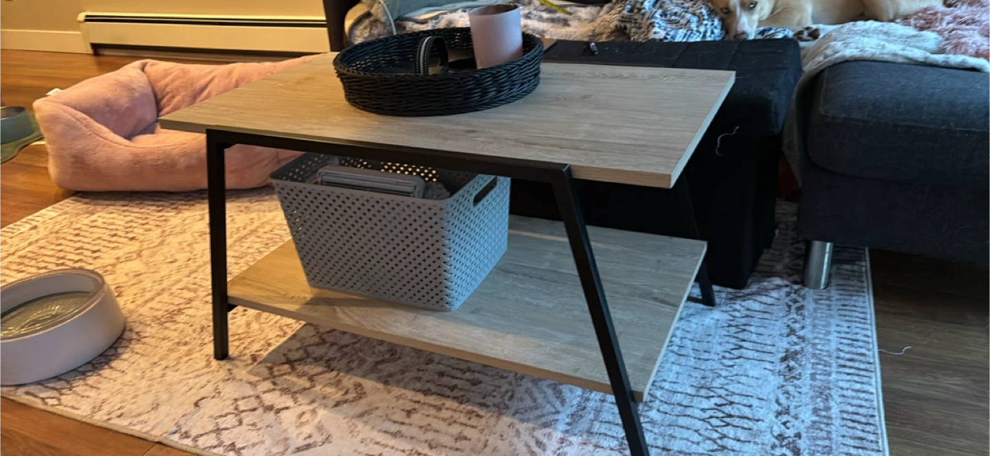 Coffee Table with Shelf
