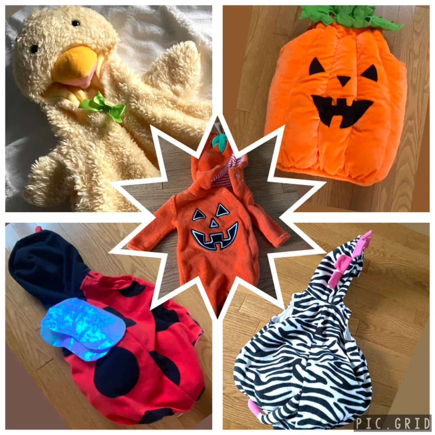 Halloween Costumes (Chicken, Ladybug and Pumpkin, Zebra)