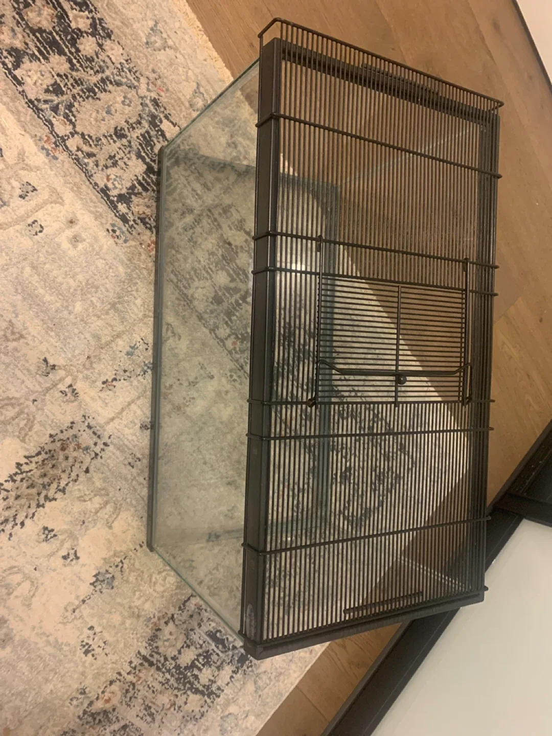 Glass Animal Tank image indicator(3)