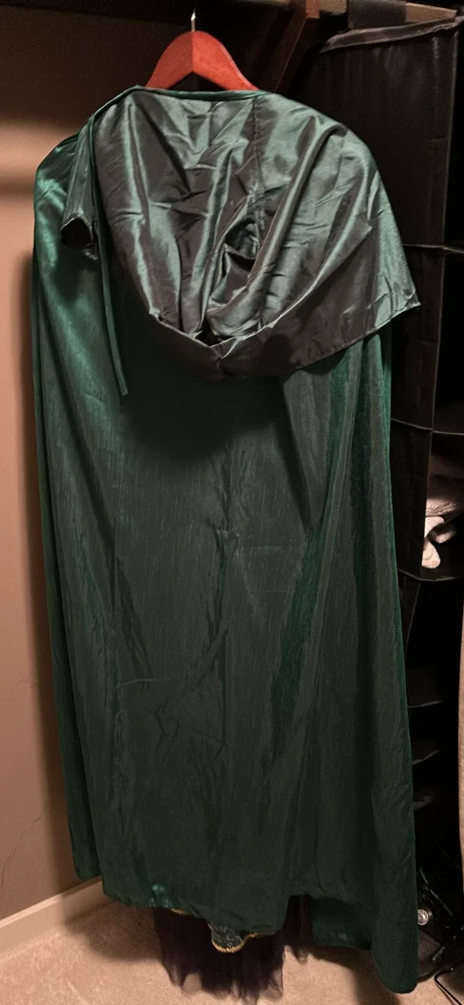 Emerald Green Hocus Pocus Costume Dress image indicator(3)