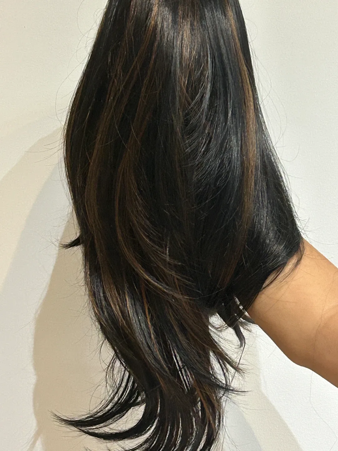 Brand New Wig - Black with Brown Highlights 22 Inch image indicator(3)