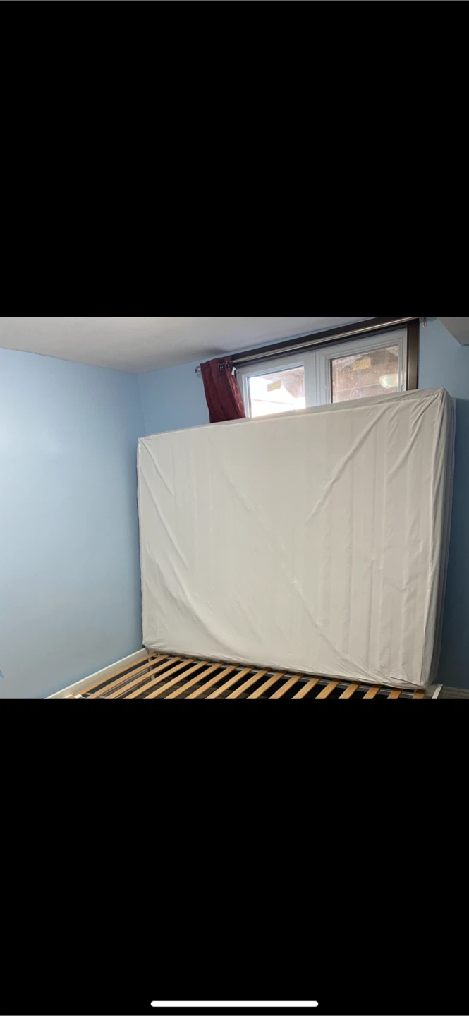 Queen size Mattress & Bed Bug Protector with Zipper