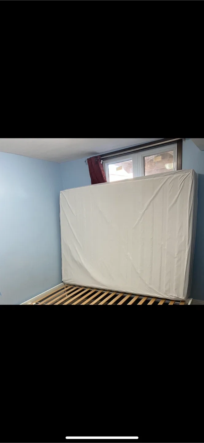 Queen size Mattress & Bed Bug Protector with Zipper thumbnail