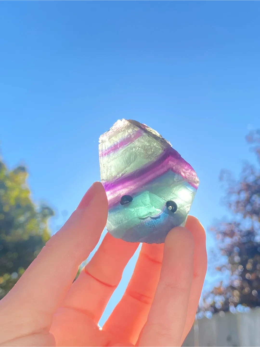 Crystal Buddy image indicator(5)