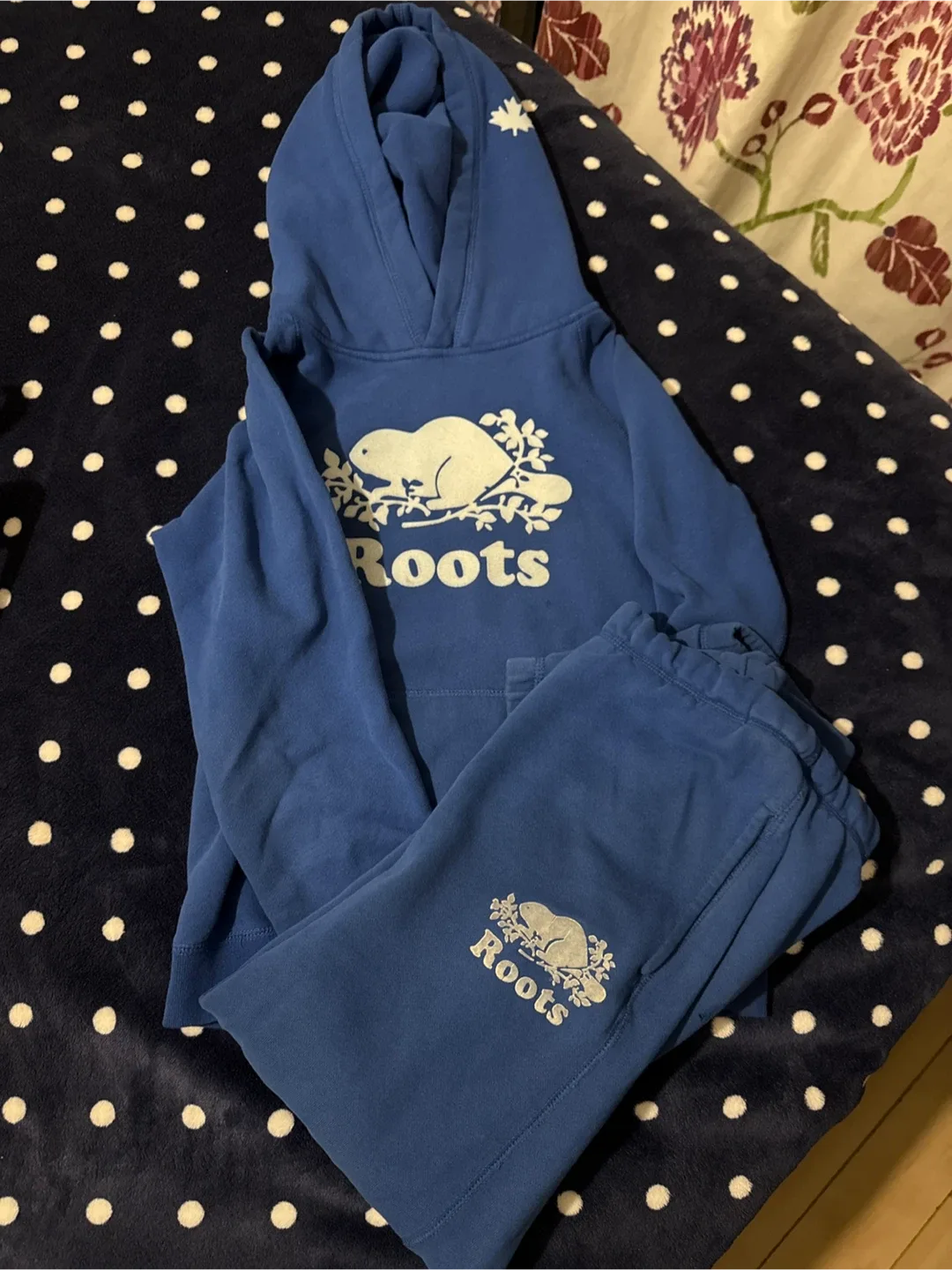 Roots Blue Hoodie & Sweatpants Set image indicator(2)