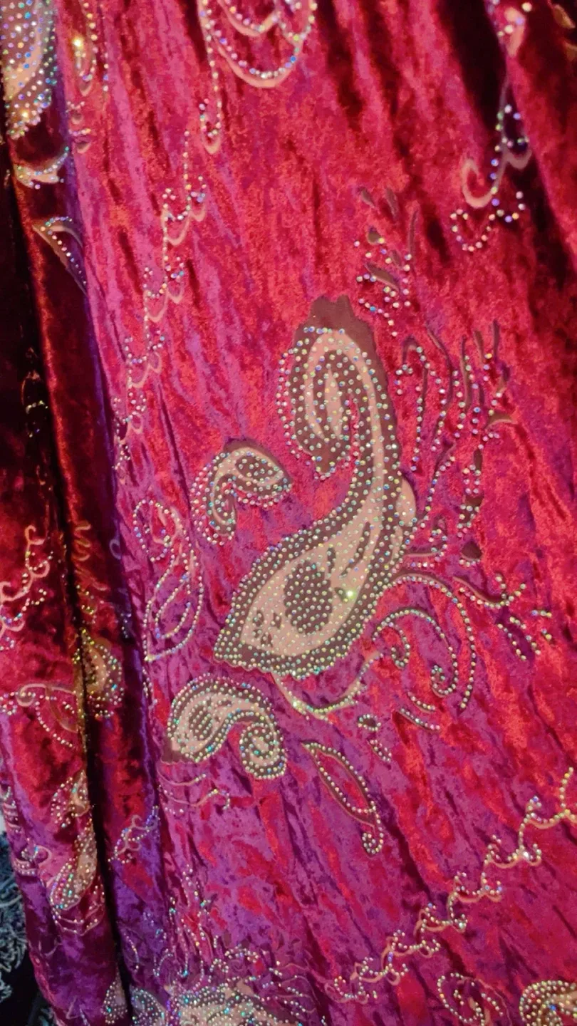 Dress Fabric with Embellishments image indicator(7)