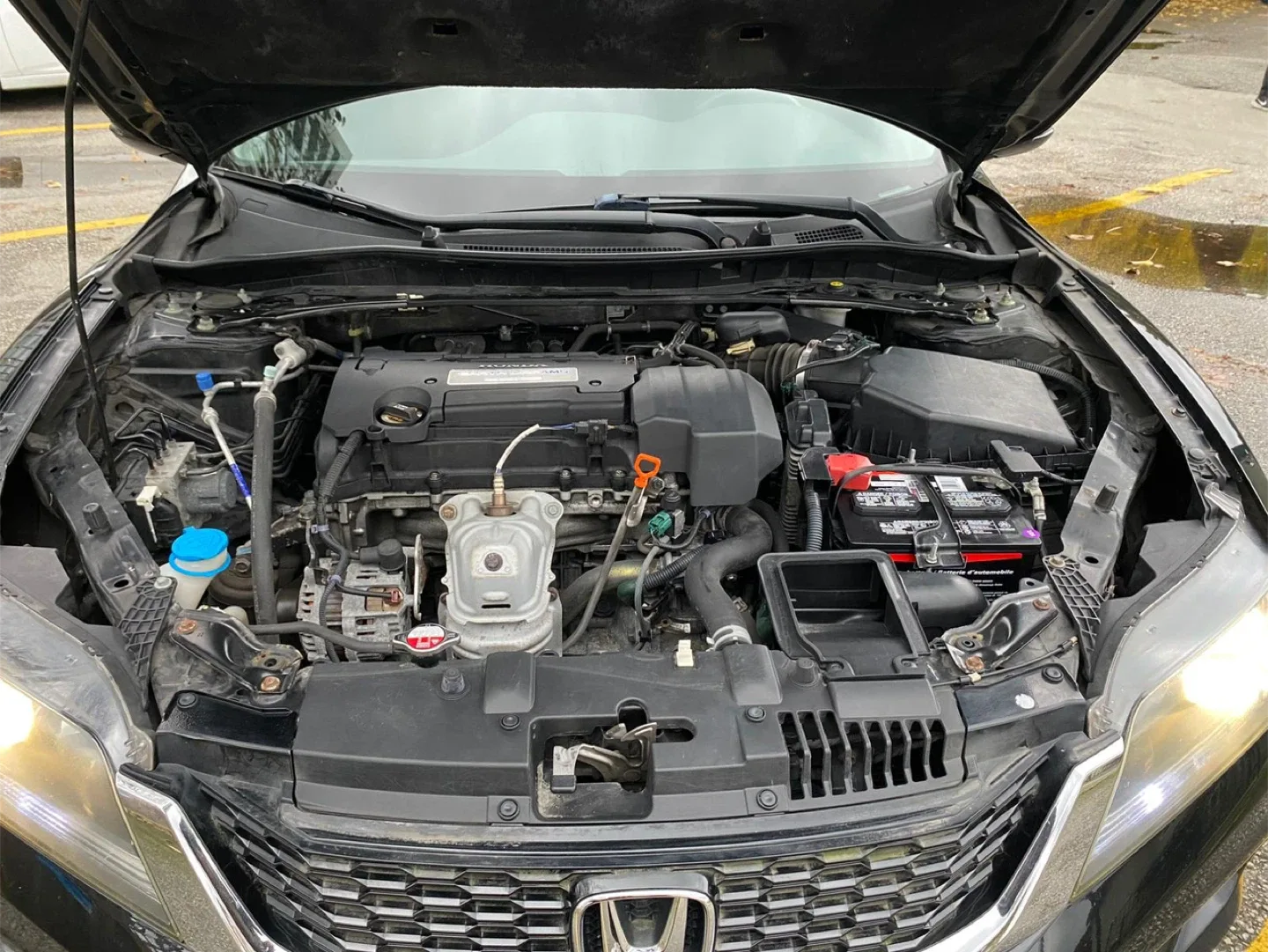 Black Honda Accord Coupe image indicator(6)