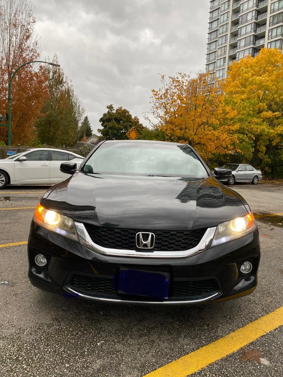 Black Honda Accord Coupe image indicator(3)