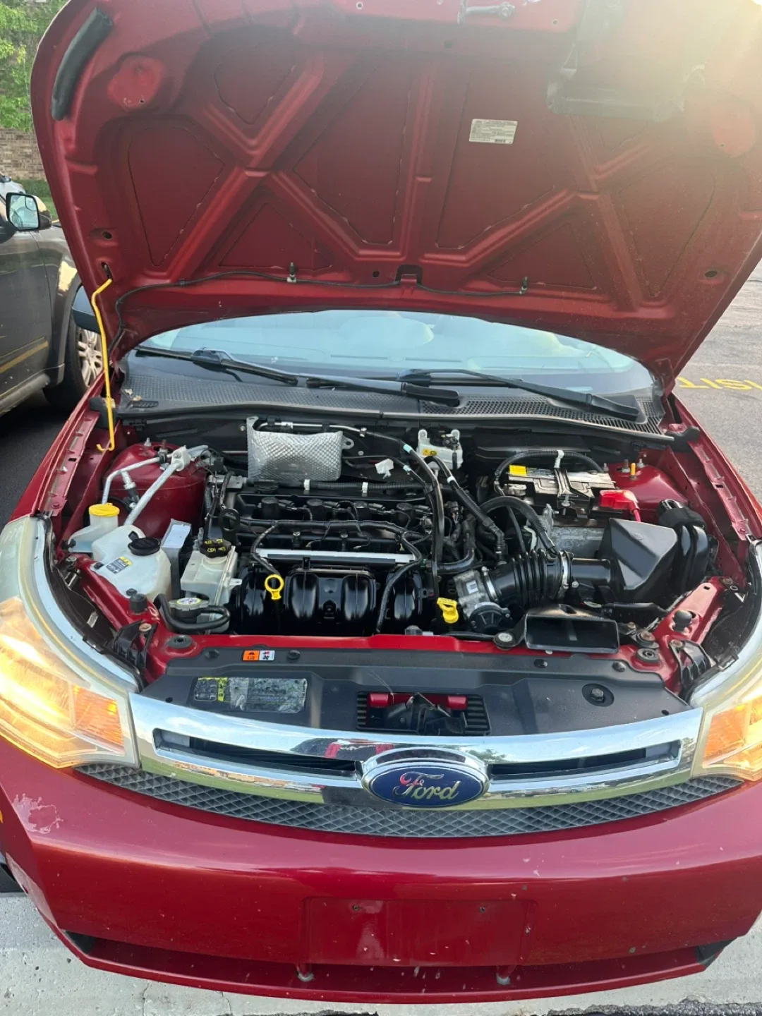 Red Ford Focus Sedan image indicator(6)