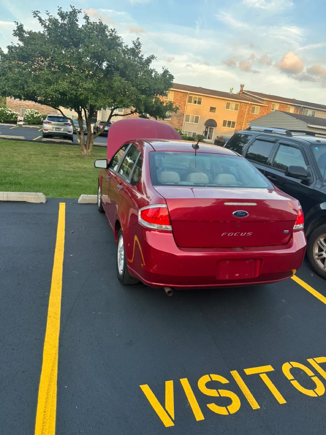Red Ford Focus Sedan image indicator(7)