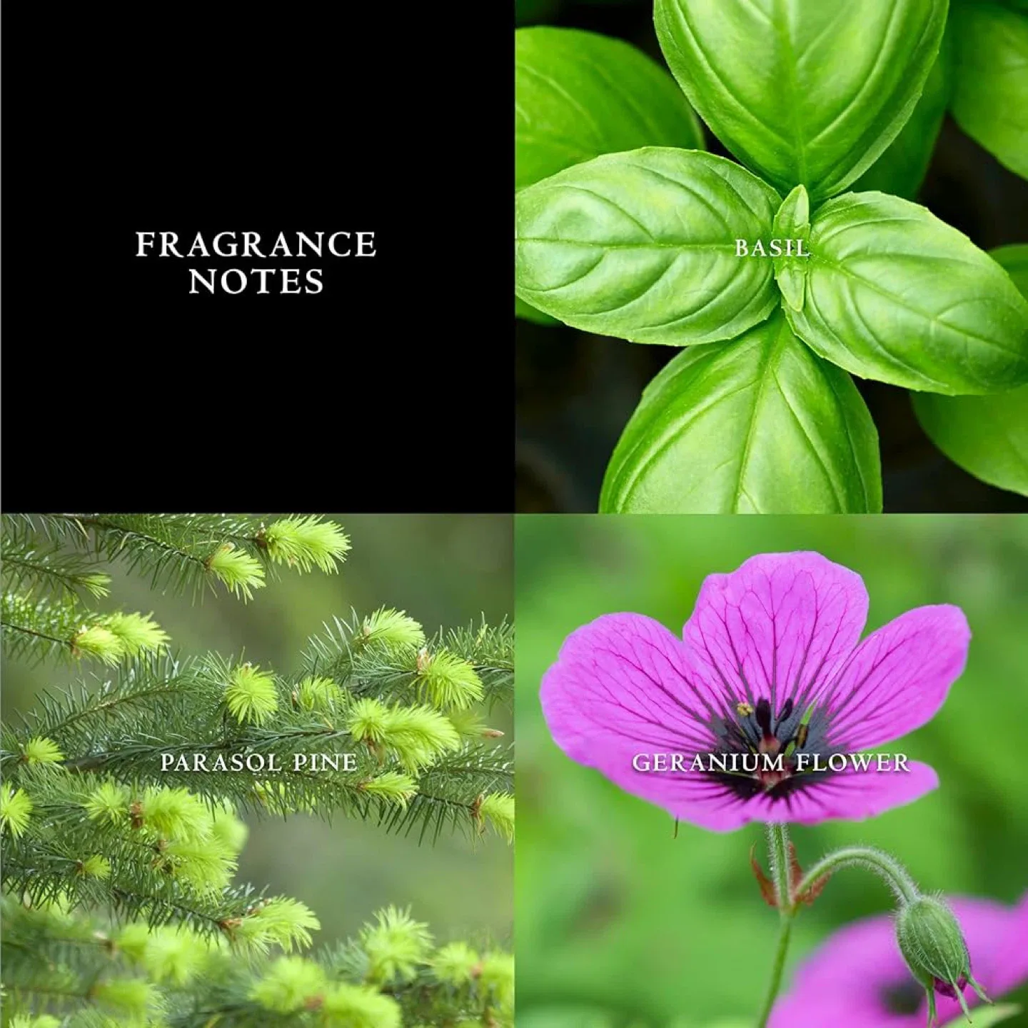 John Varvatos Artisan Blu Eau de Toilette - Men's Cologne image indicator(5)