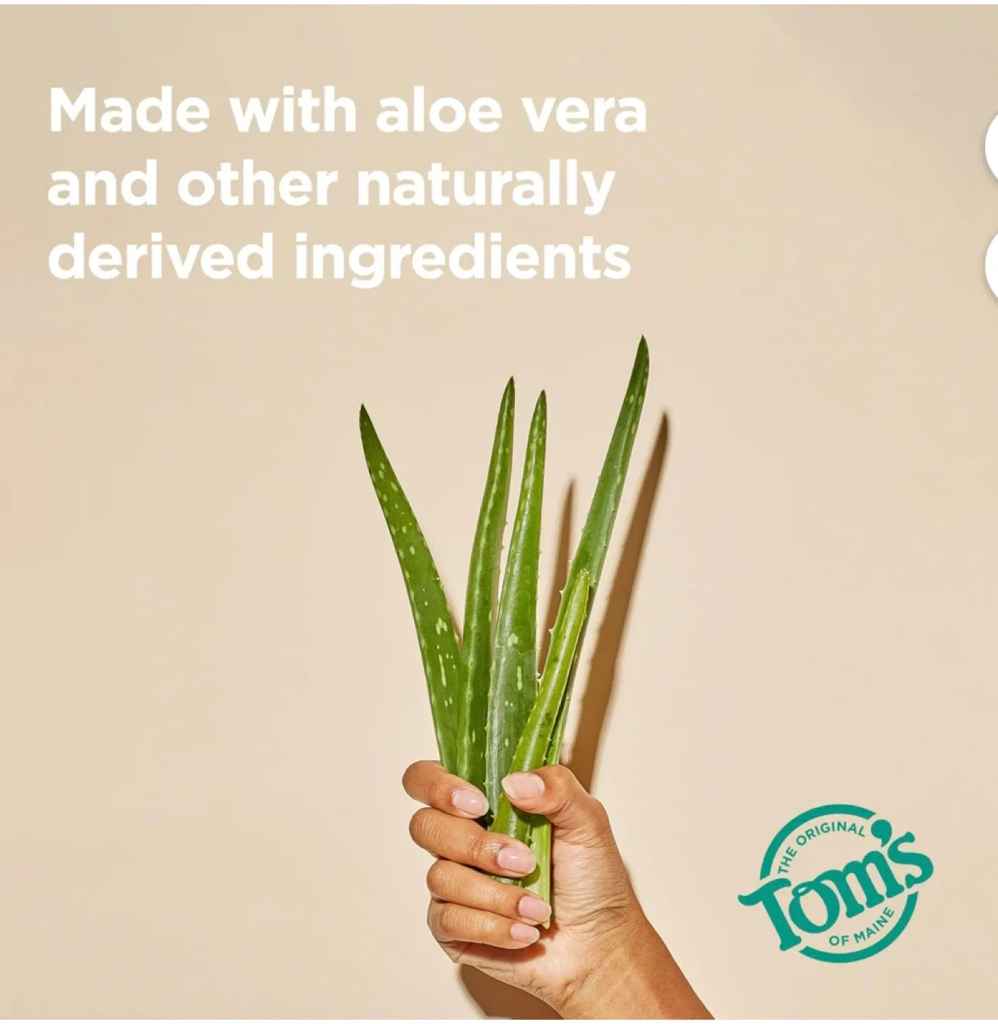 Tom's of Maine Cucumber Aloe Deodorant image indicator(6)