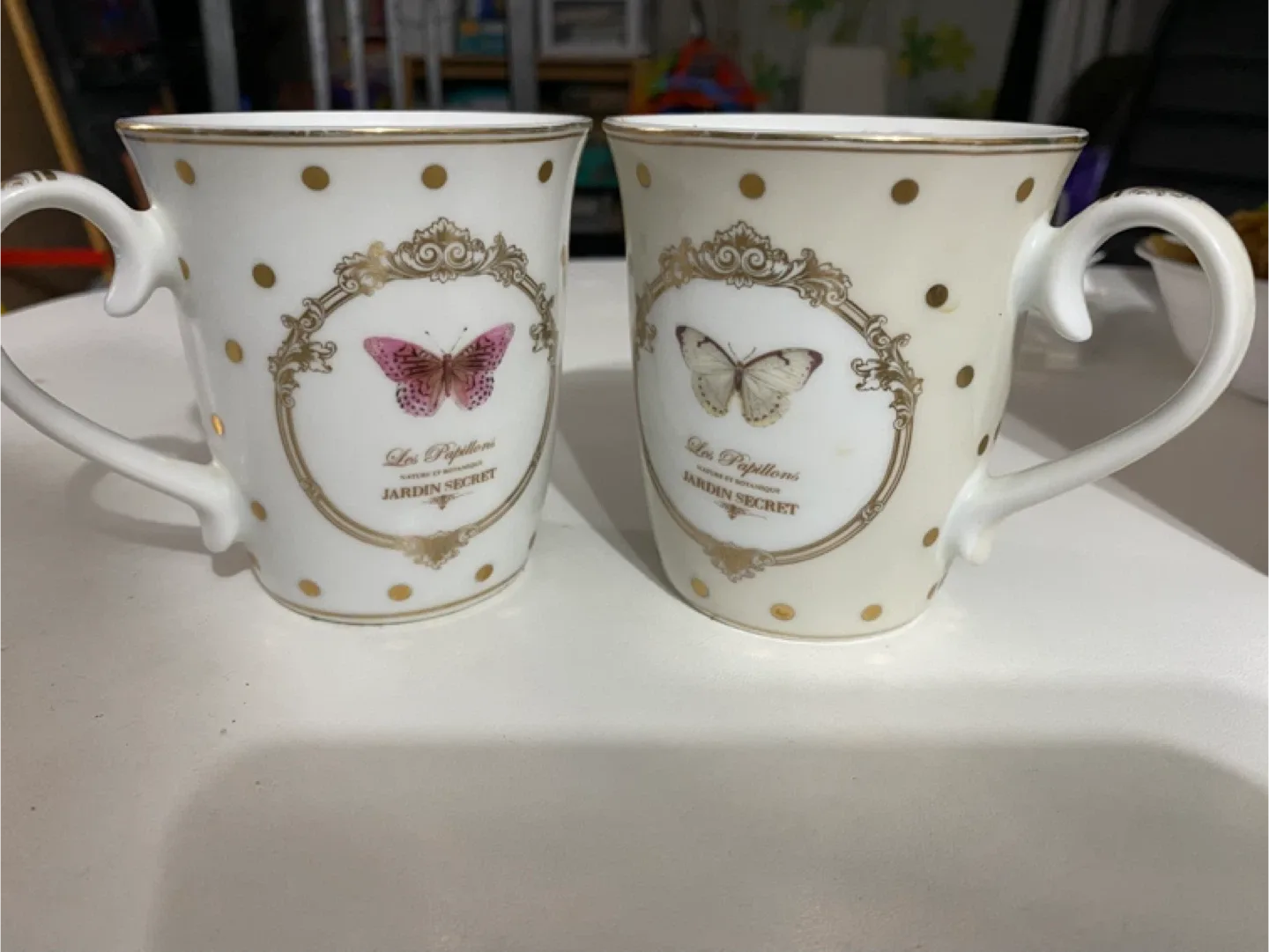 Elegance Dora Papis Jardin Secret Mugs - Set of 2 image indicator(2)