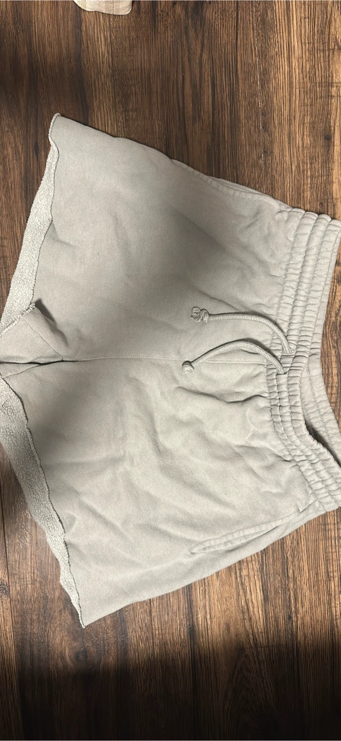 Aritzia blue shorts