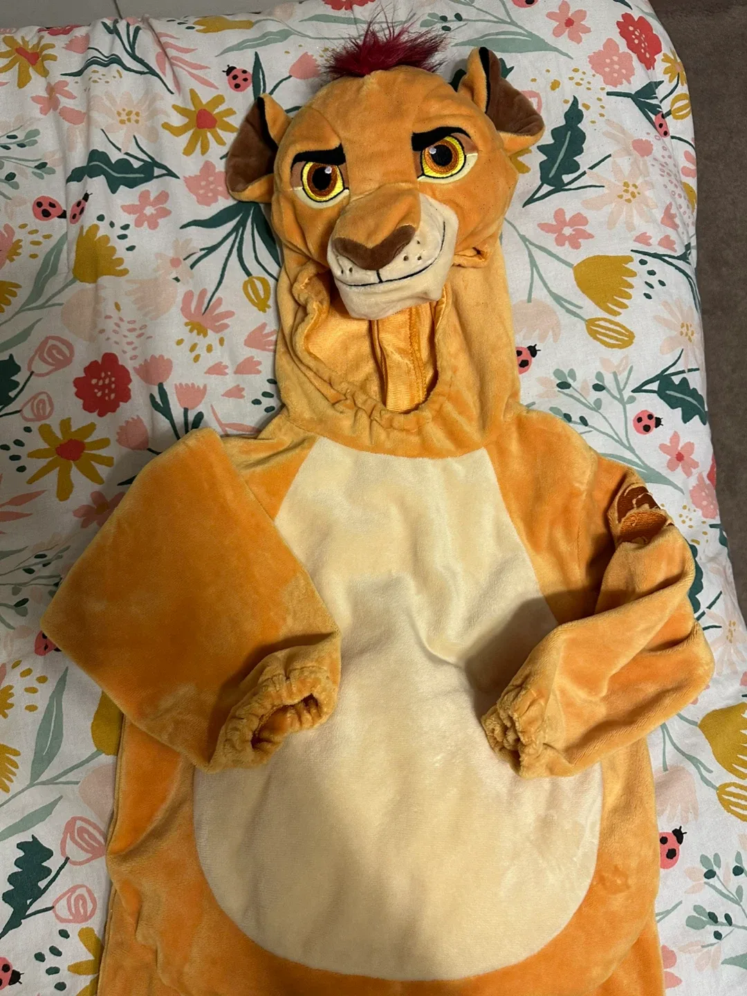 Kids' Lion King & Chicken Costumes $10.00 EACH image indicator(2)
