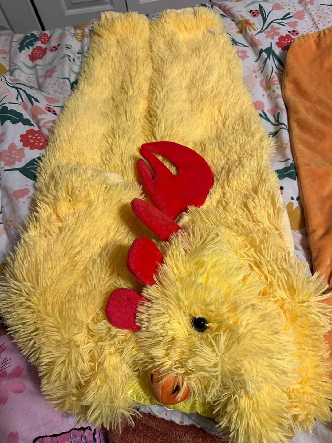 Kids' Lion King & Chicken Costumes $10.00 EACH image indicator(4)