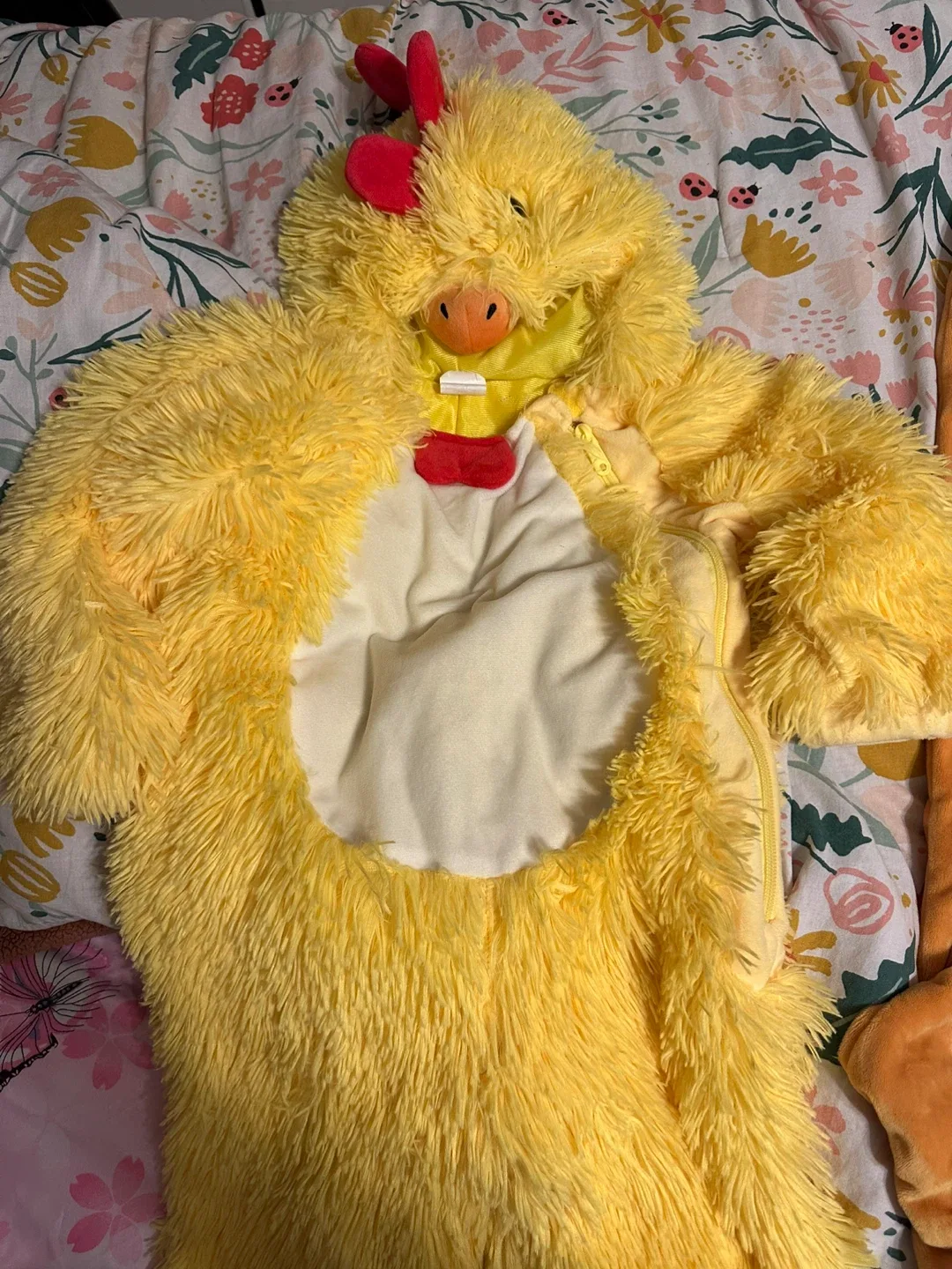 Kids' Lion King & Chicken Costumes $10.00 EACH image indicator(5)