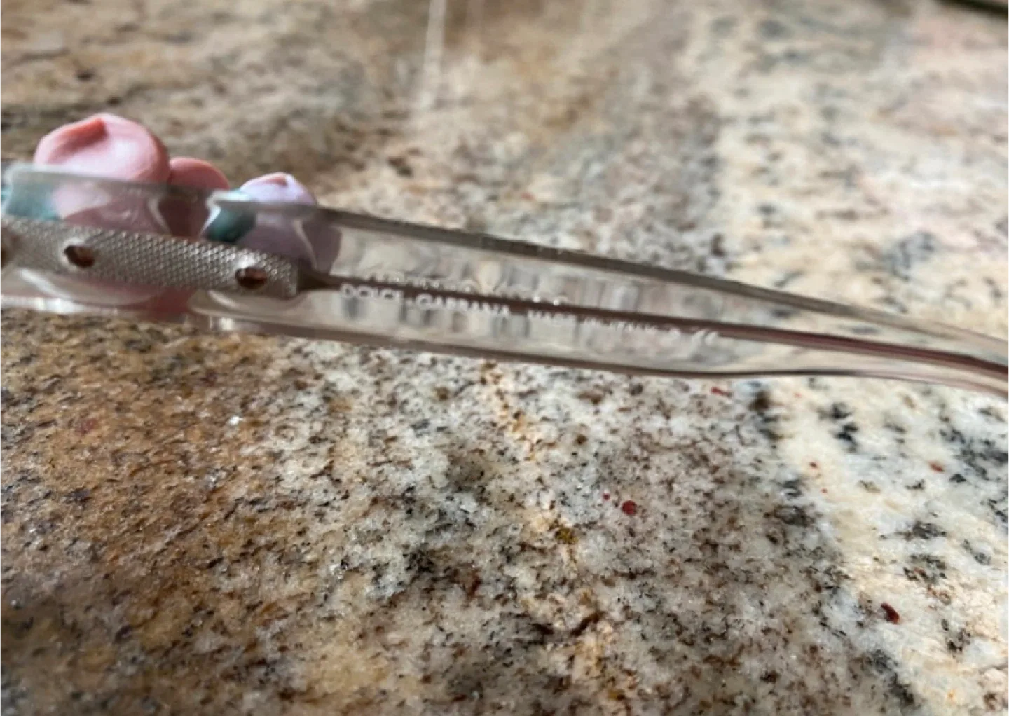 Dolce & Gabbana Clear Sunglasses with Rose Detail image indicator(4)