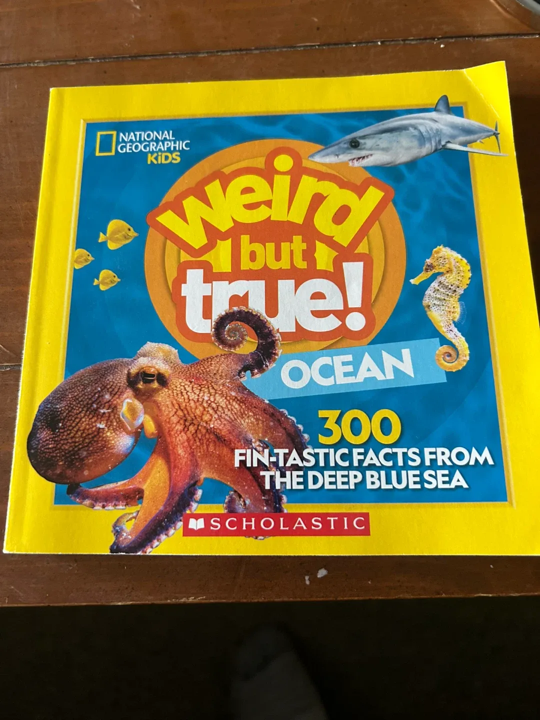Weird But True! Ocean Book thumbnail