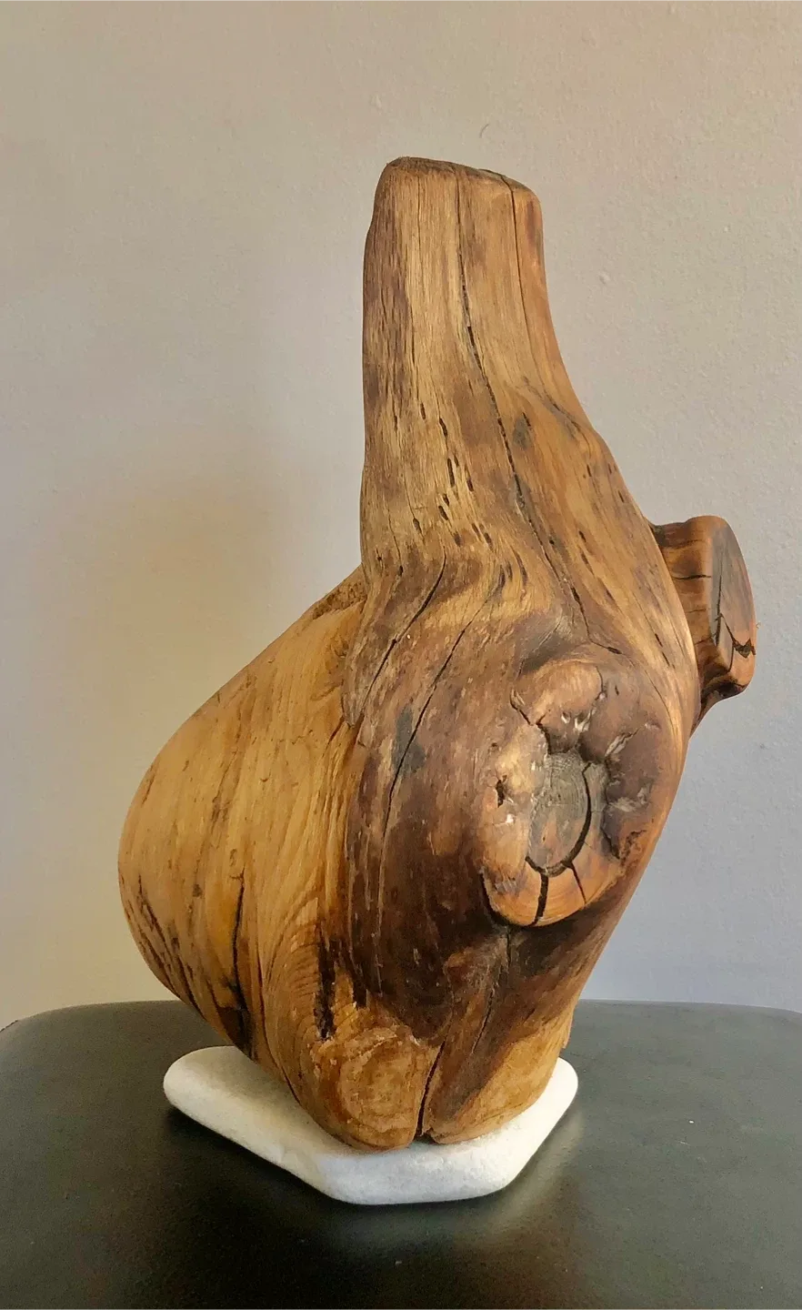 Driftwood and stone art image indicator(6)