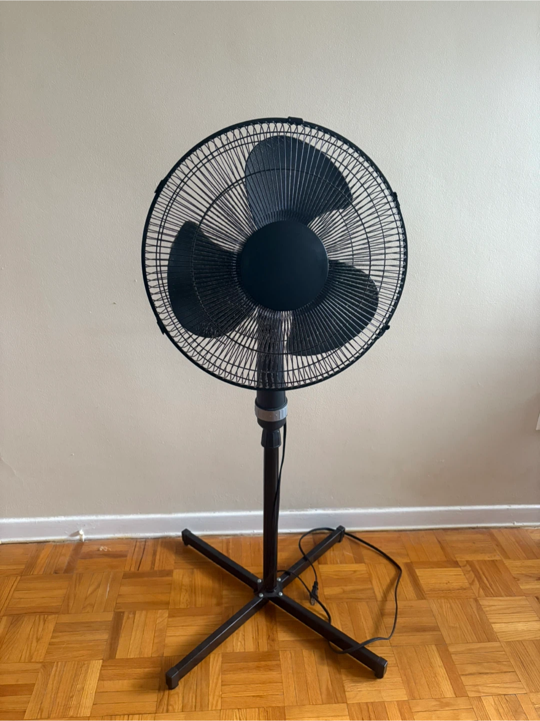 Black Standing Fan