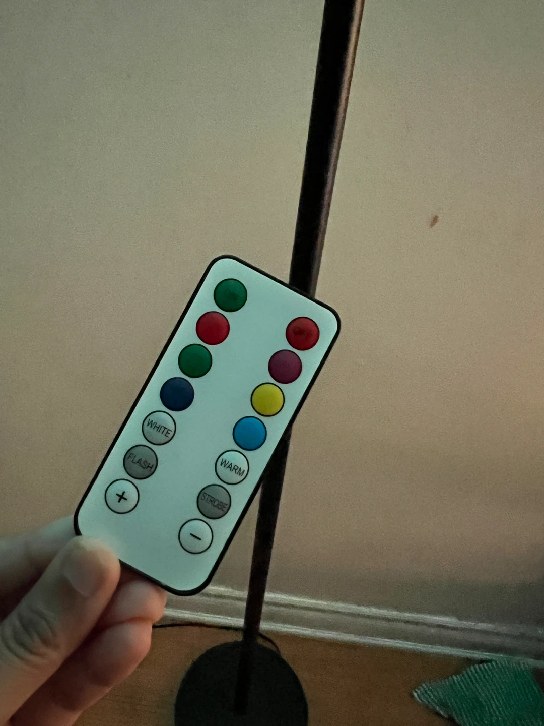 Floor Lamp with Remote - Black - photo 3