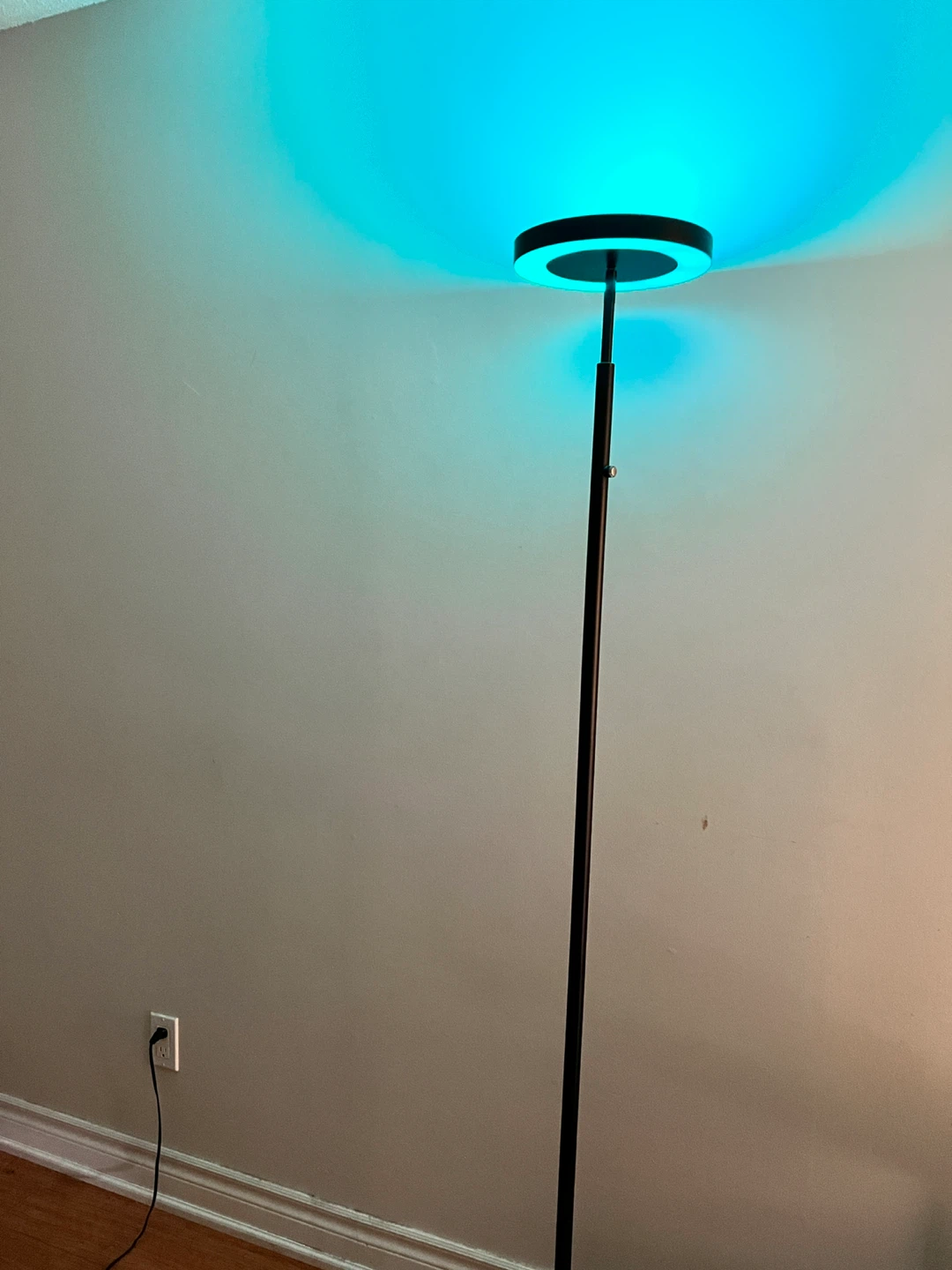 Floor Lamp with Remote - Black - photo 2