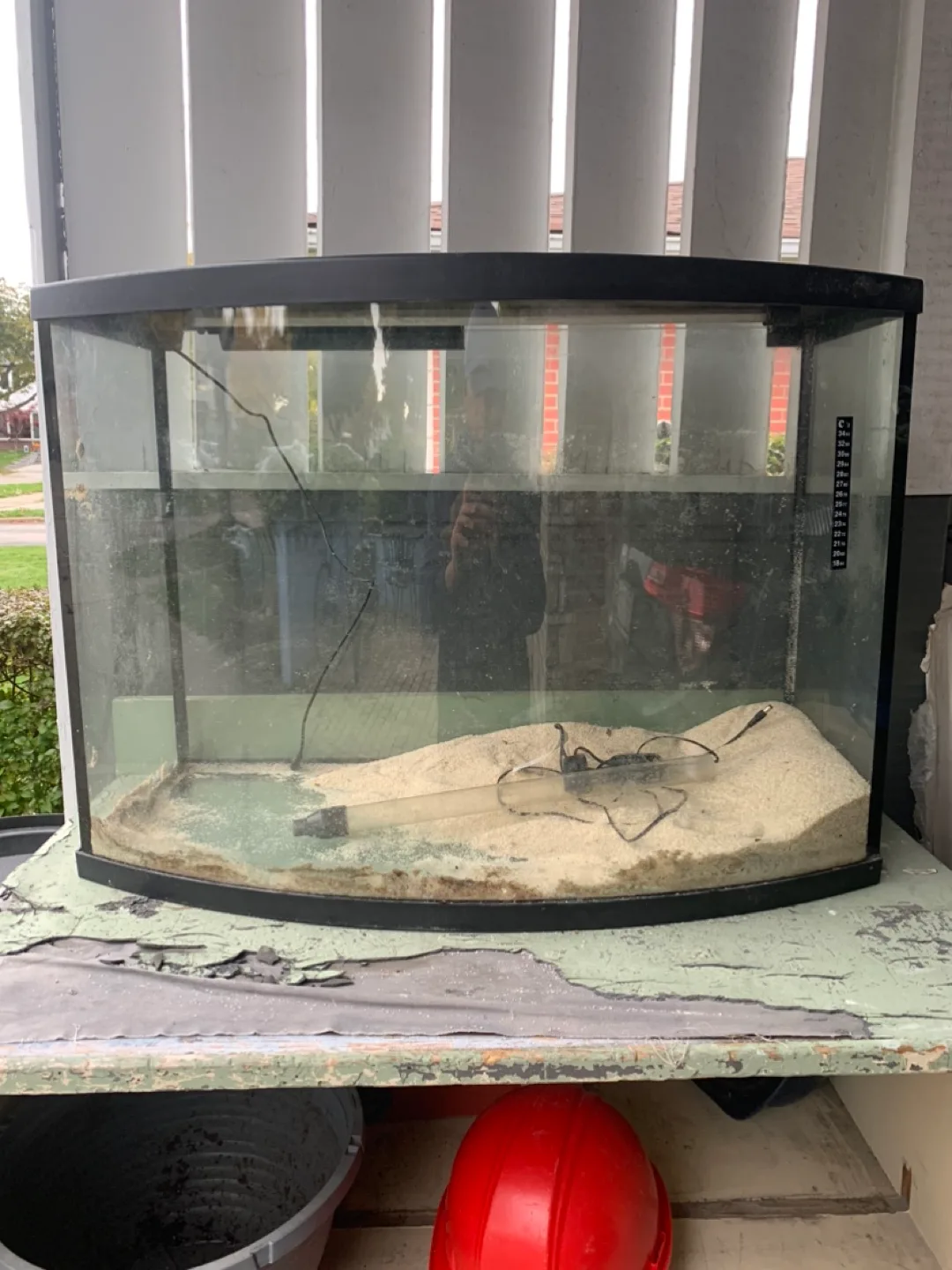 36 gallon bow shape fish tank with lid and light.