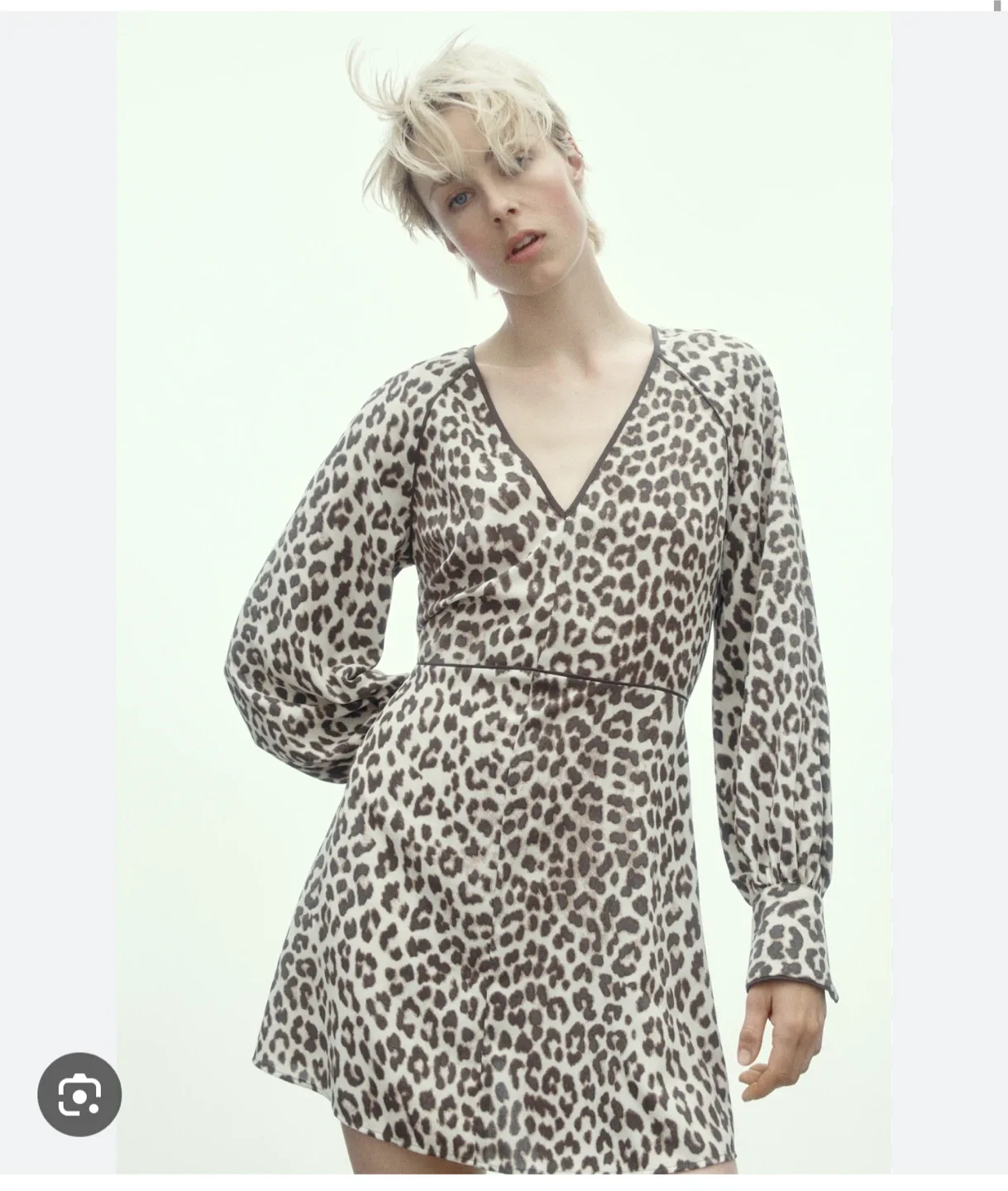 H&M Leopard Print V-Neck Dress image indicator(2)