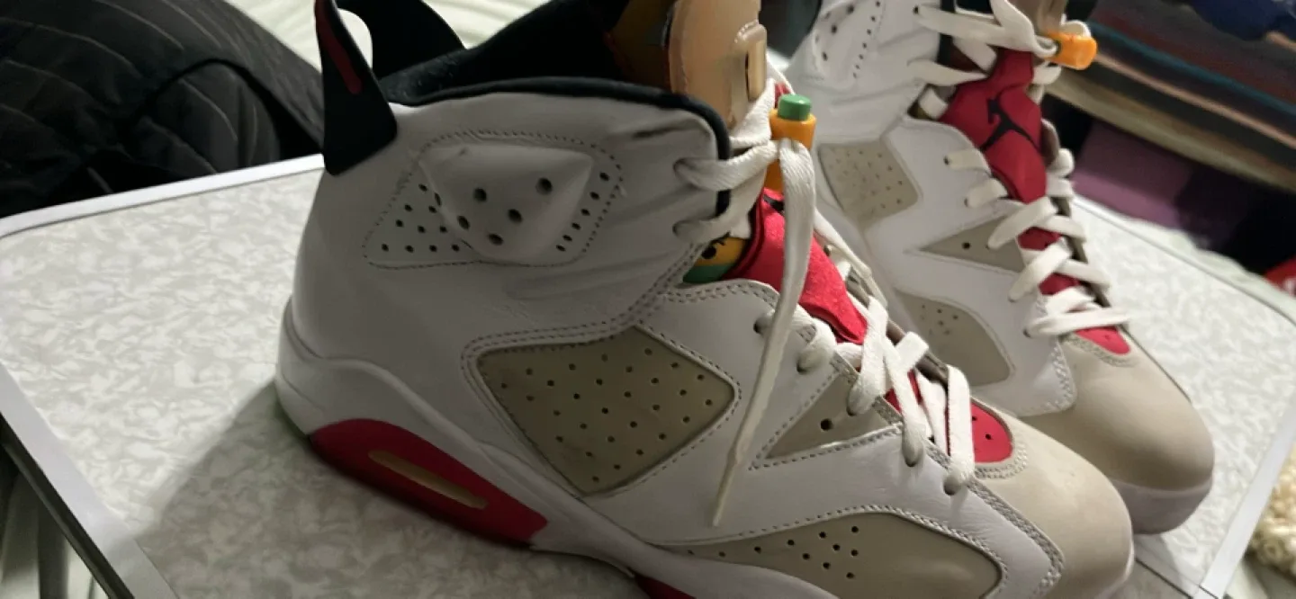 Air Jordan 6 Retro image indicator(3)