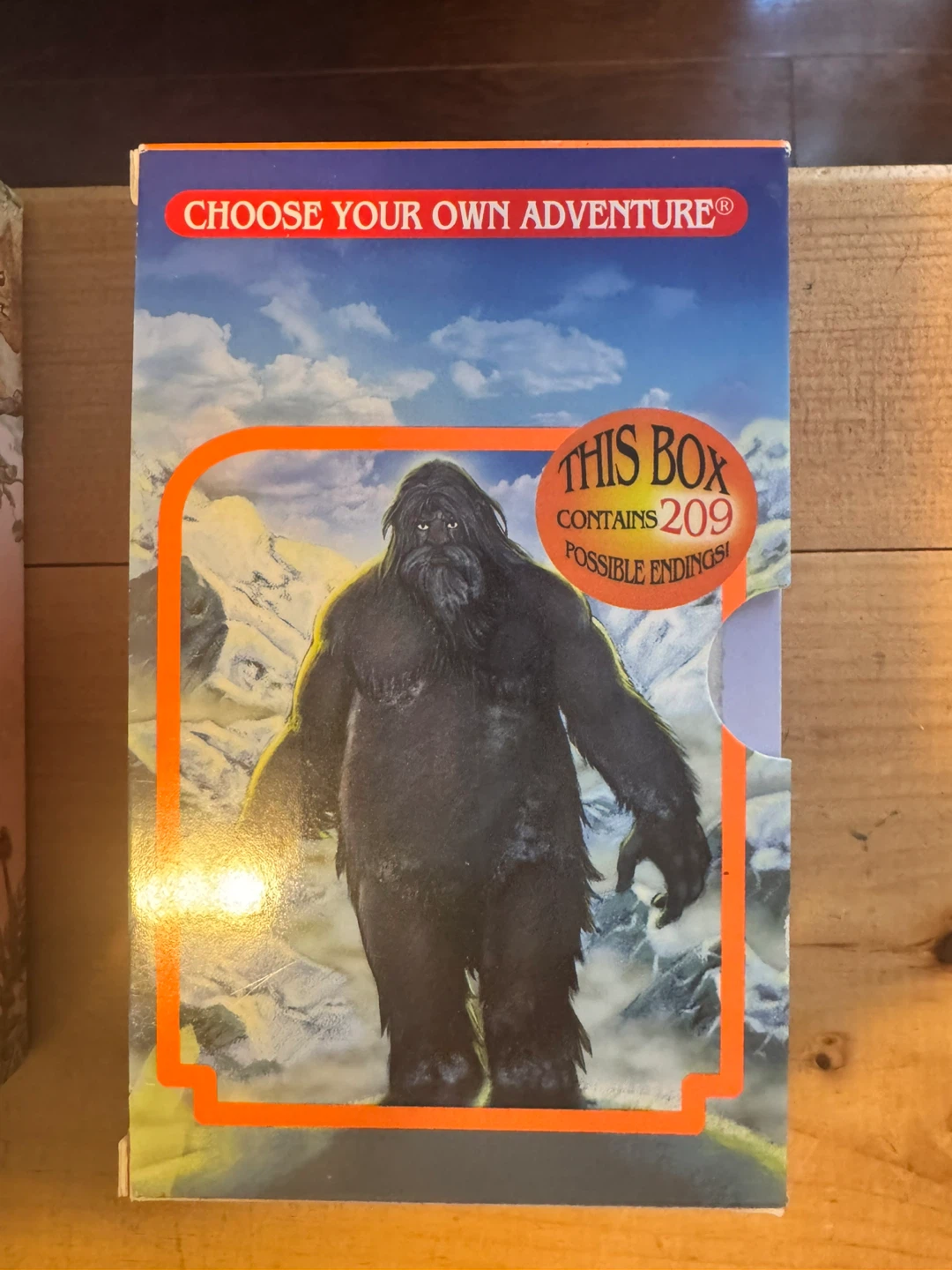 Choose Your Own Adventure Box Set